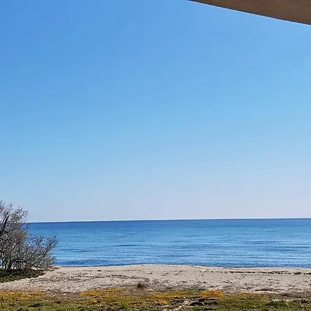 Pieds Dans L'eau - Bravone Apartment *